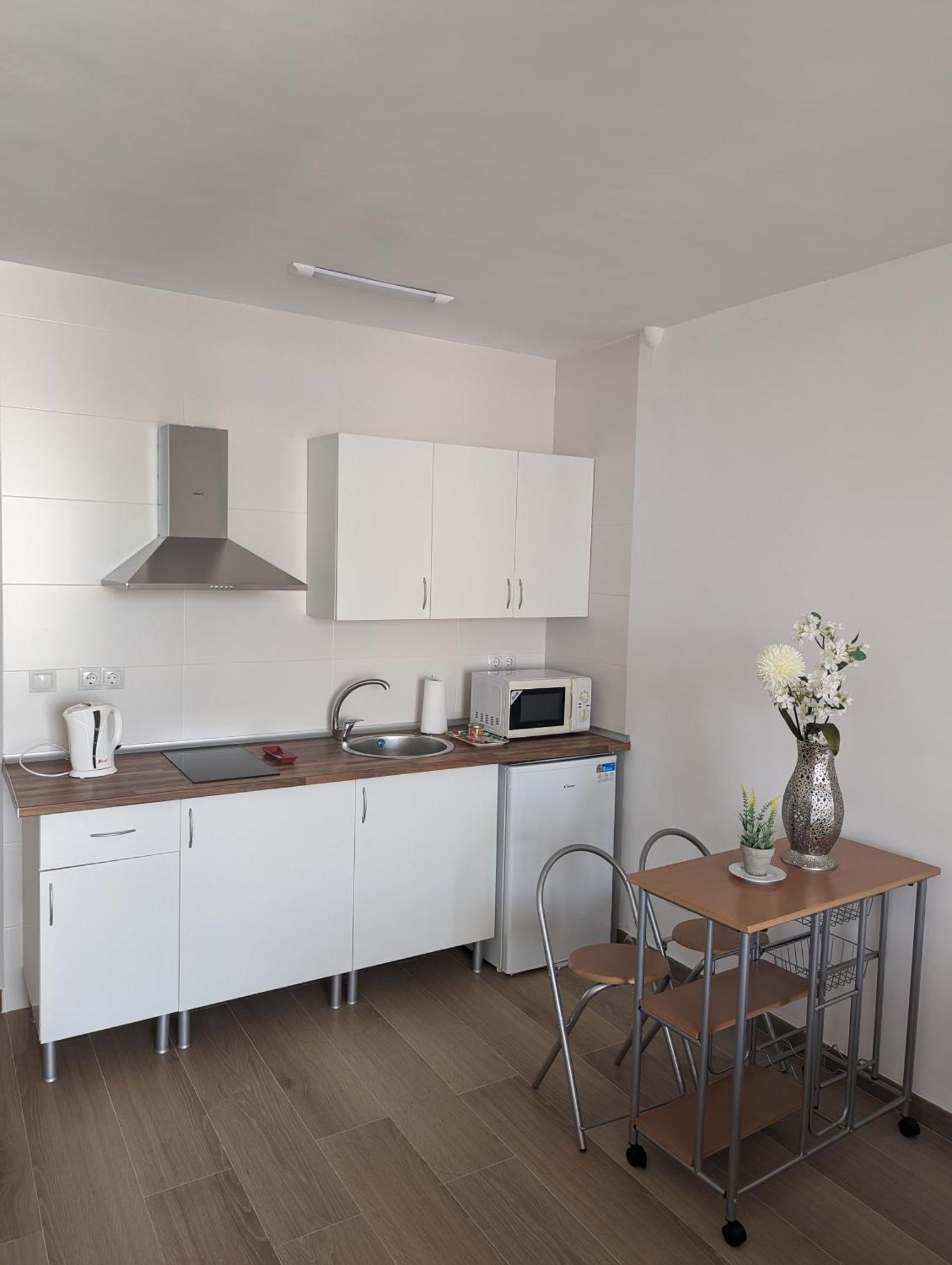 Biznaga House Apartment *